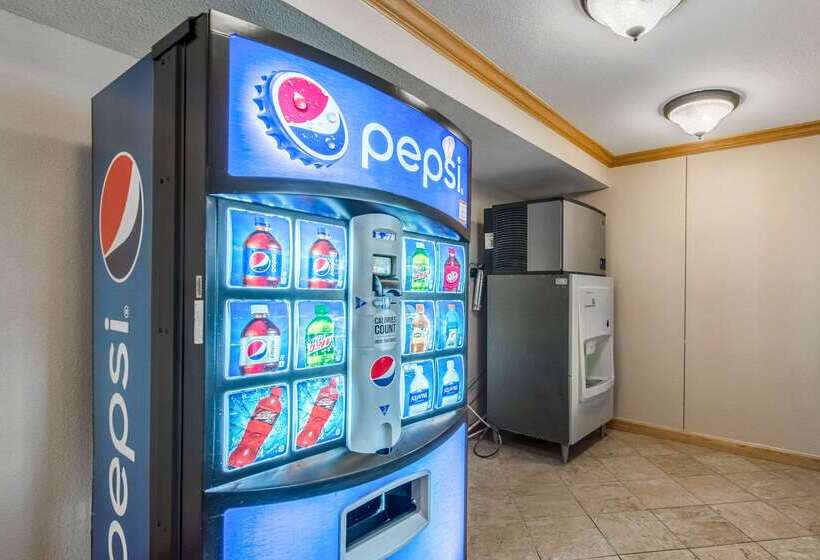 호텔 Quality Inn & Suites University Area