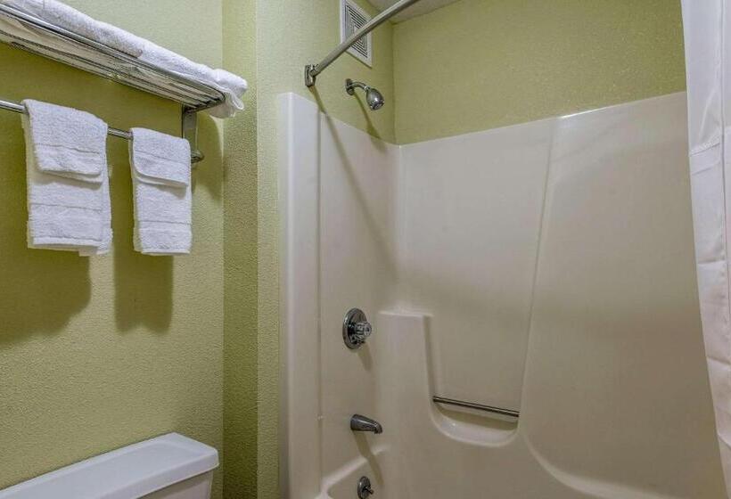 호텔 Quality Inn & Suites University Area