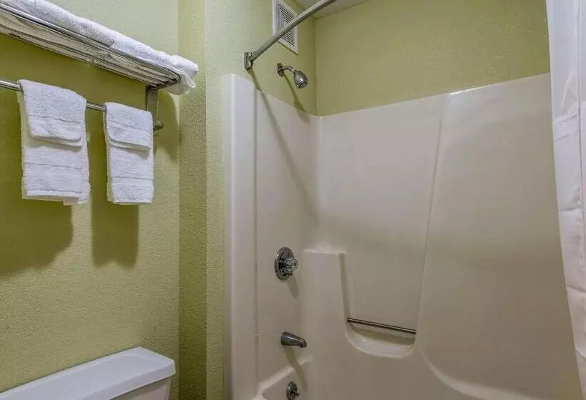هتل Quality Inn & Suites University Area