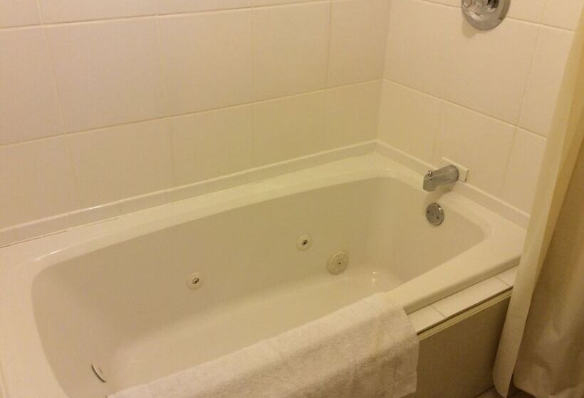 Отель Regency Inn Bridgeport Frankenmuth