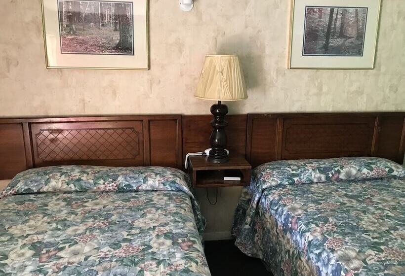 Отель Regency Inn Bridgeport Frankenmuth