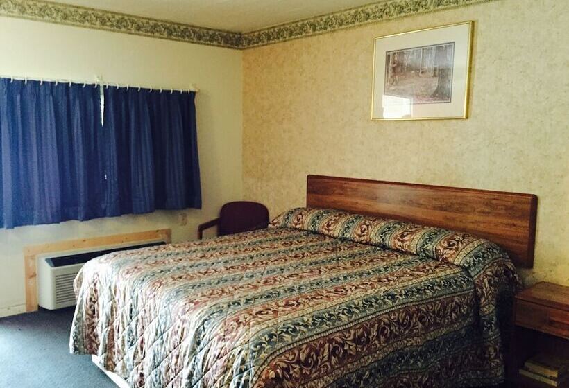 Отель Regency Inn Bridgeport Frankenmuth