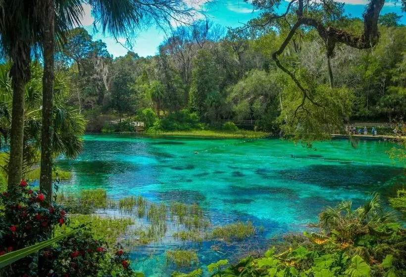Hotelli Shamrock Cove Inn