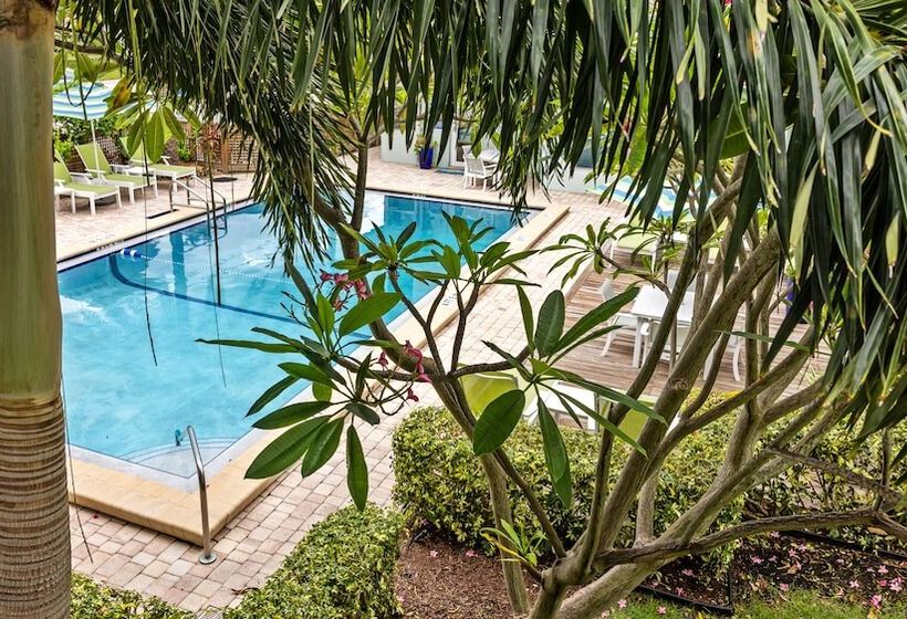 Отель Sun Dek Beach House