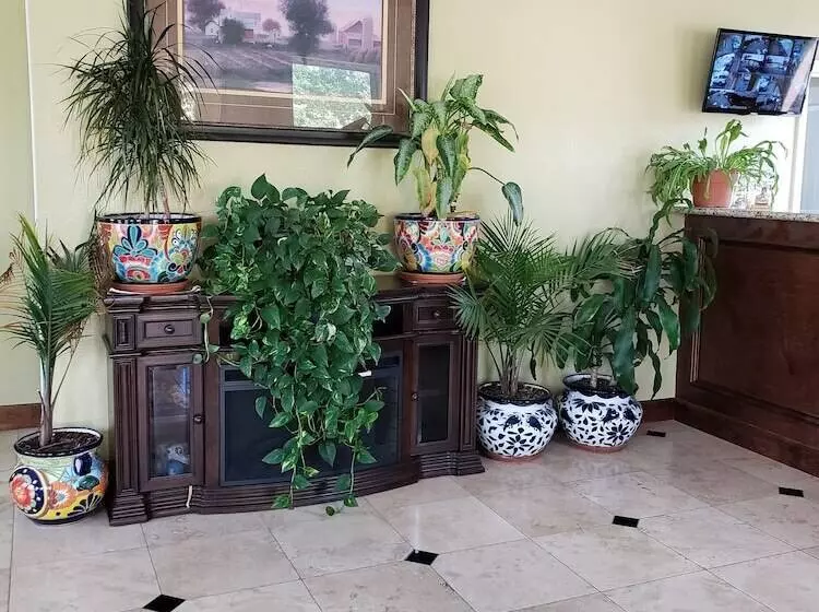 ホテル Taylor Village Inn And Suites