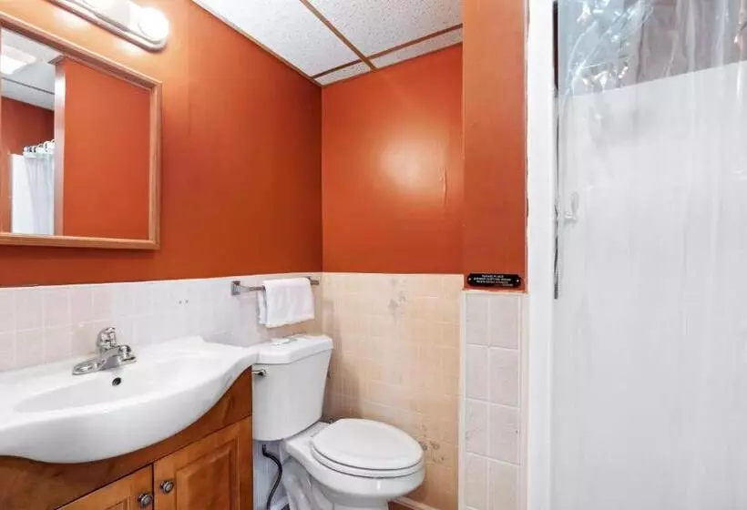 ホテル The Beaches Guest Rooms And Cottages