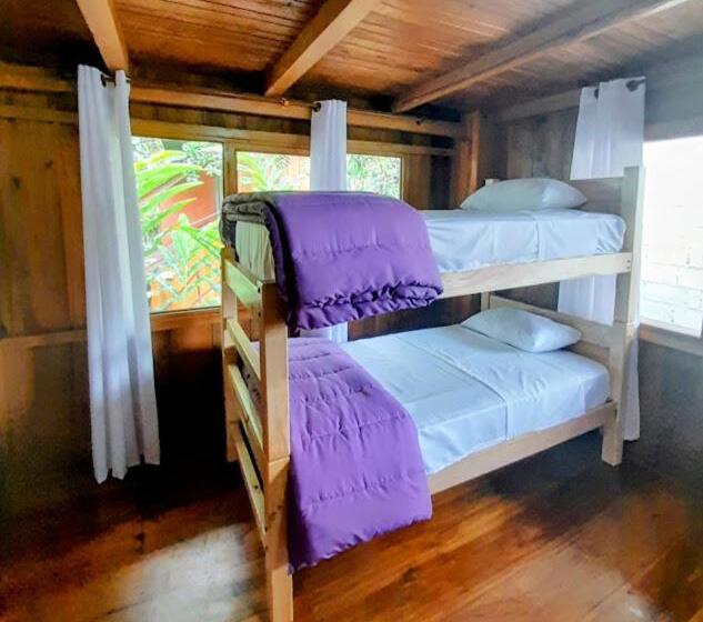 Herberge The Temple Iii, Mindo