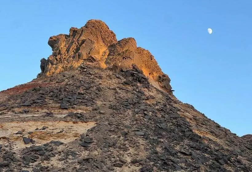 هتل Oasis Panorama