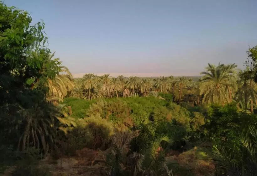 هتل Oasis Panorama
