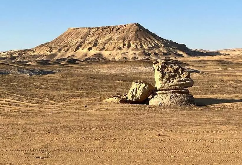 هتل Oasis Panorama
