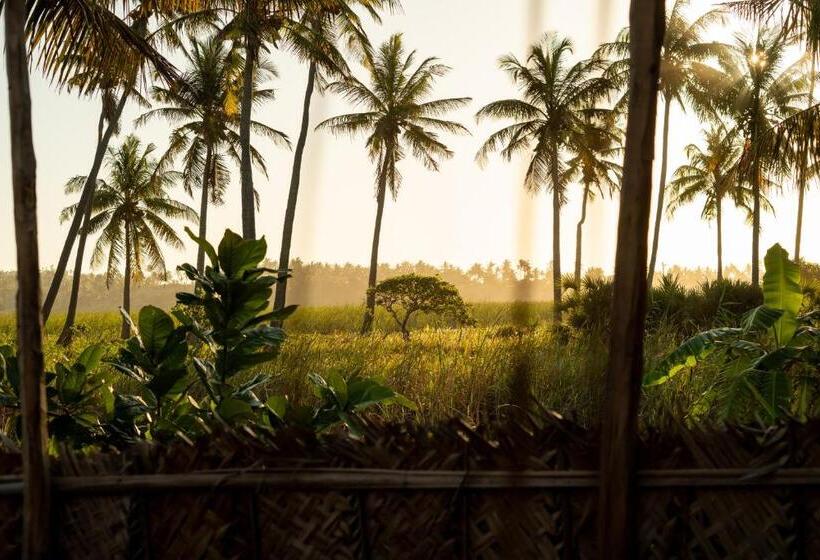 ペンション India Blue