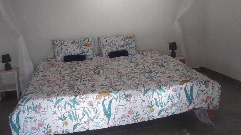 ペンション India Blue