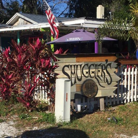 بنسيون The Sunburst Oasis