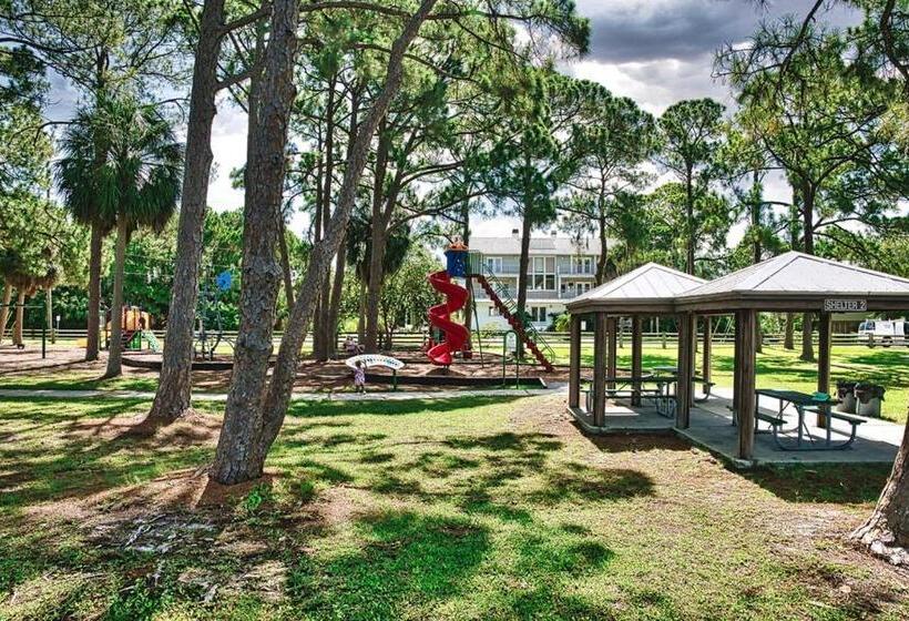 بنسيون The Sunburst Oasis