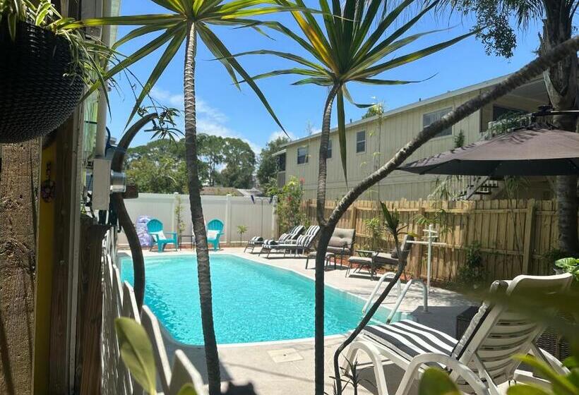 بنسيون The Sunburst Oasis