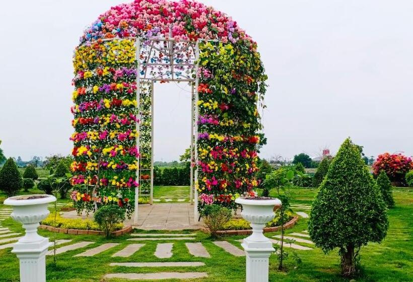 Pansiyon White Houseรีสอร์ท