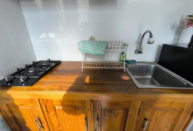 Пансион White Lotus House