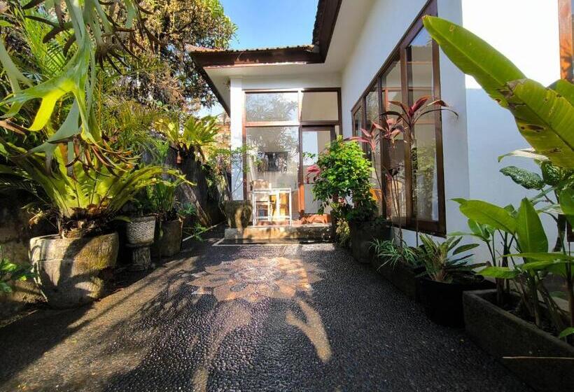 Пансион White Lotus House