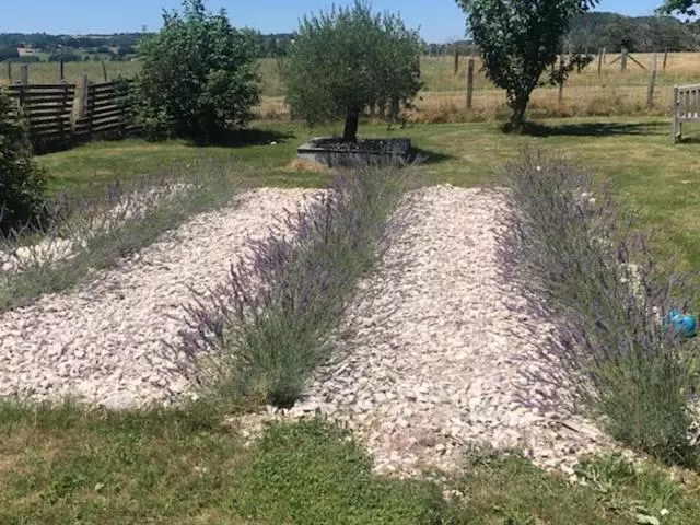 Aamiaismajoitus (B&B) Le Clos Fanny Chambre D’hôtes
