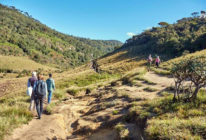 مبيت وإفطار Queen S Inn