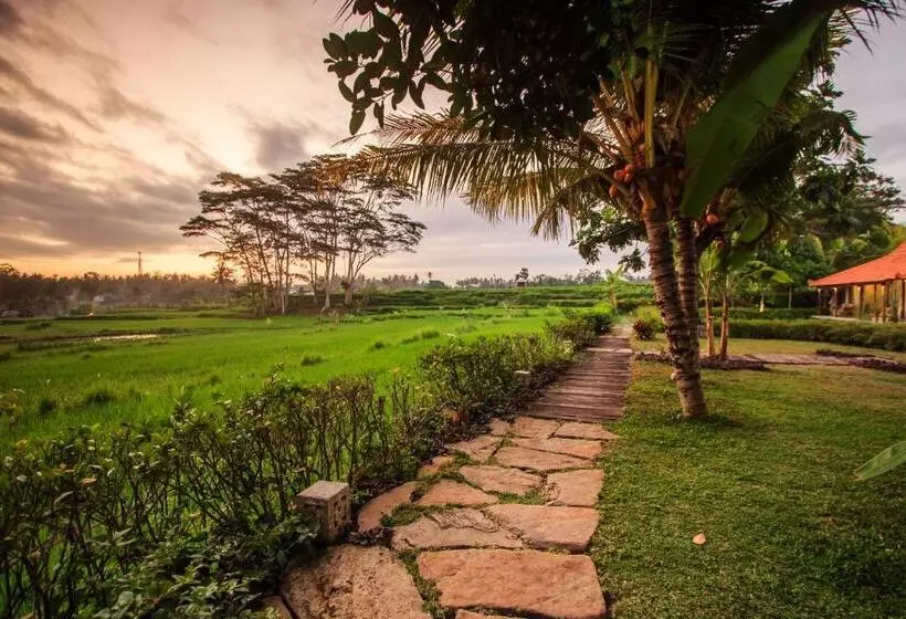 ホテル Griya Kcb Villa