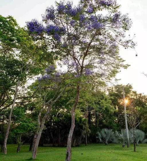 Hotelli Spa Agua Milagrosa