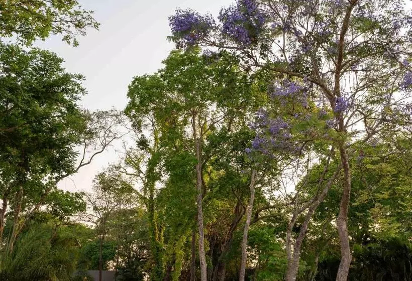 Hotelli Spa Agua Milagrosa