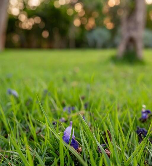 Hotel Spa Agua Milagrosa