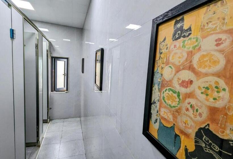 Meow! Marcia Youth Hostel