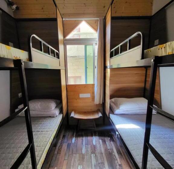 Meow! Marcia Youth Hostel