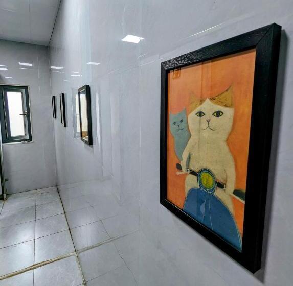 Meow! Marcia Youth Hostel