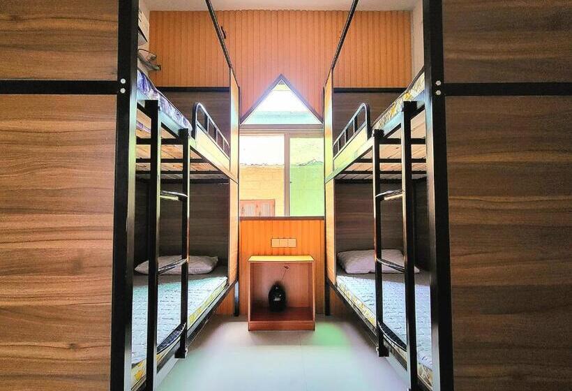 Meow! Marcia Youth Hostel