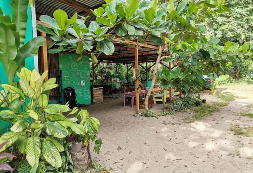 Oasis Beachfront Hostel