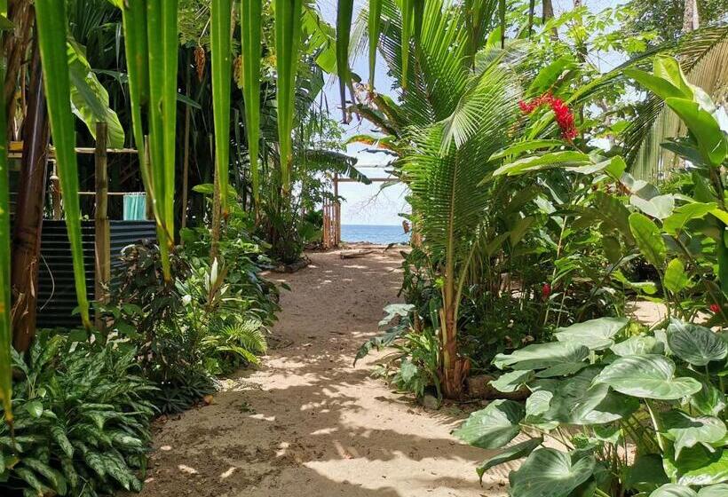 Oasis Beachfront Hostel