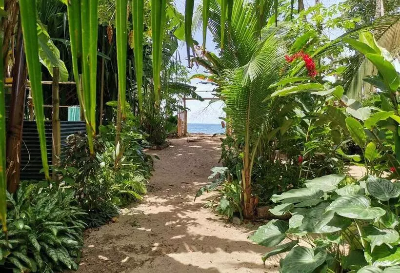 Oasis Beachfront Hostel