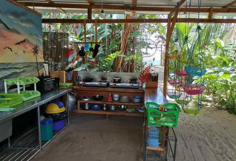 Oasis Beachfront Hostel