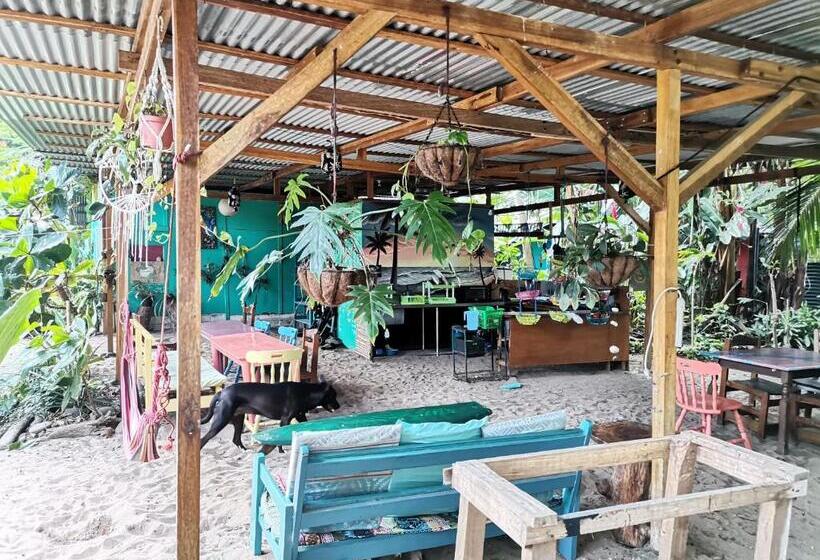 Oasis Beachfront Hostel