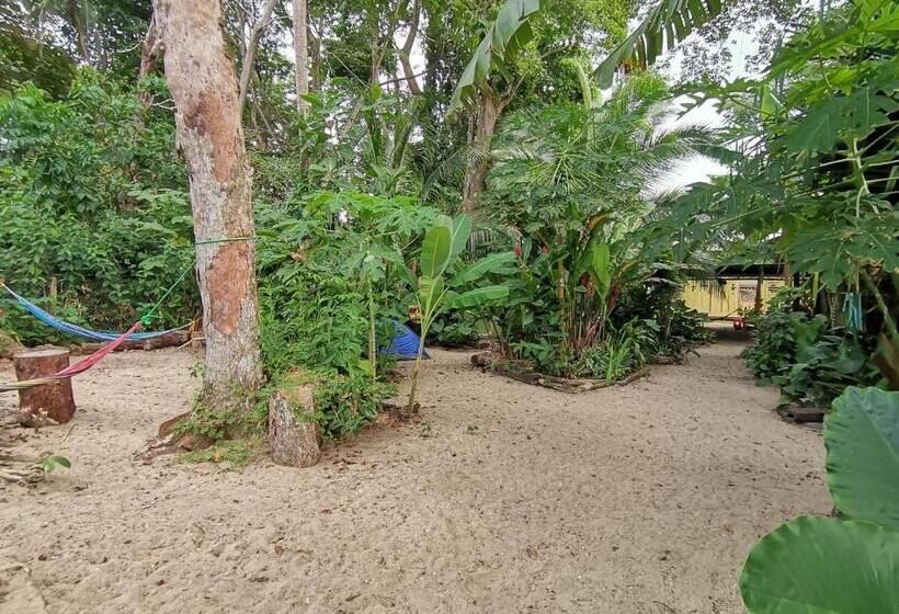 Oasis Beachfront Hostel