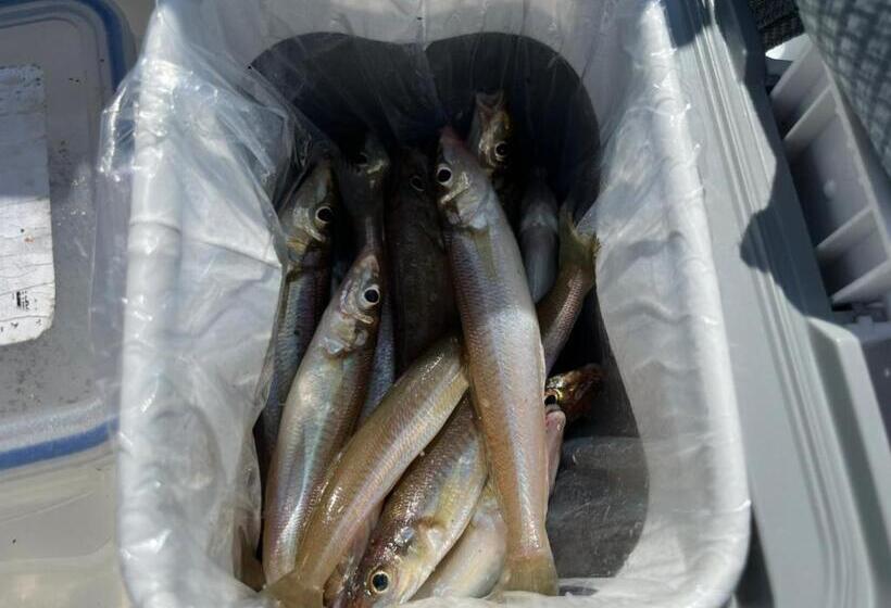 بنسيون Guesthouse紫雲  Shiun