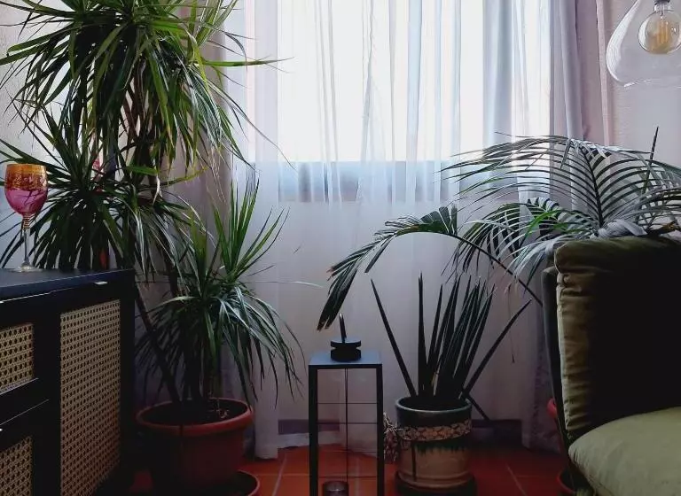 ペンション Terraced Paradise