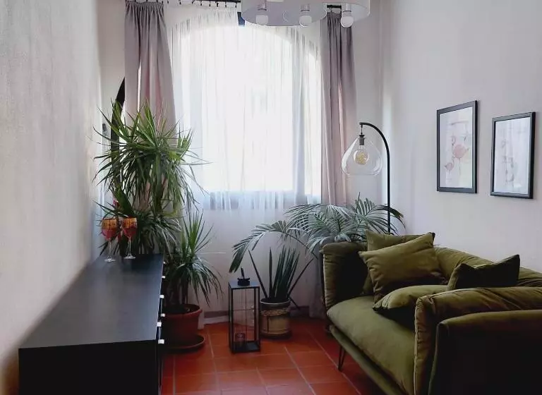 ペンション Terraced Paradise