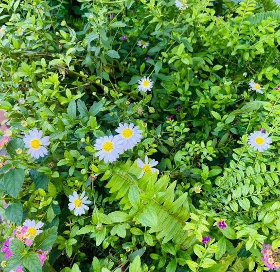 هاستل Private Rooms In Phatumwan Chula Near Samyan, Chinatown, Jay O Siam Center, Central World Middle Of