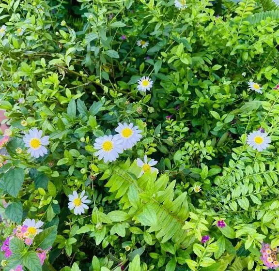 هاستل Private Rooms In Phatumwan Chula Near Samyan, Chinatown, Jay O Siam Center, Central World Middle Of