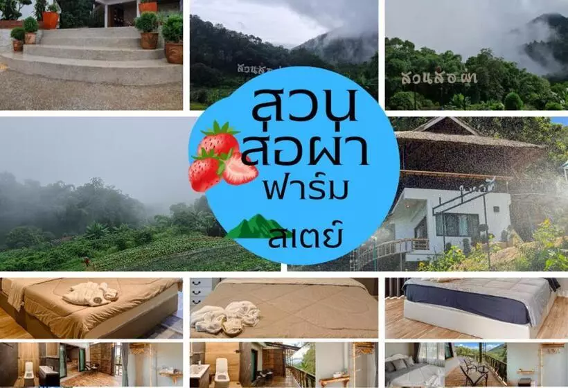 ホテル สวนส่อผ่า&ฟาร์มสเตย์