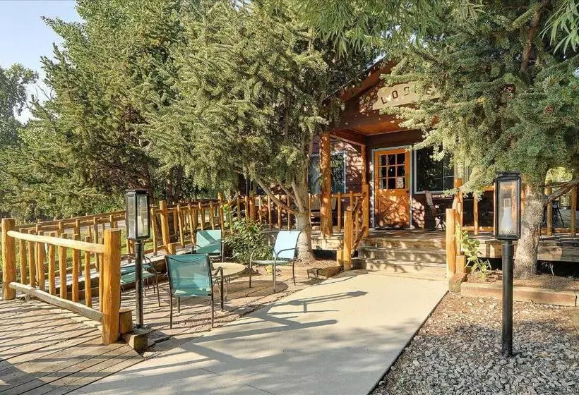 ホテル Vista Court Cabins & Lodge
