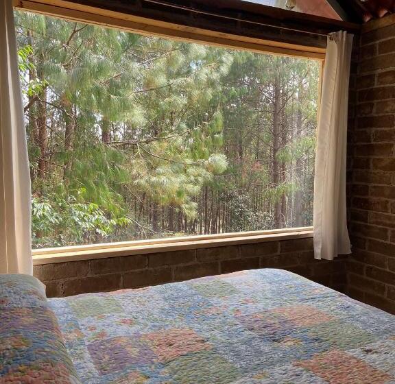 Hostel Cabaña En El Bosque