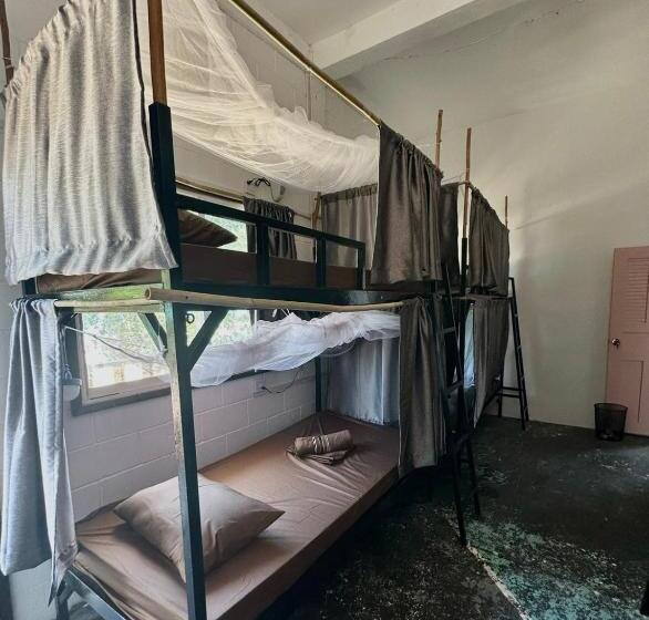 هاستل Seashell Guesthouse, Bar And Tattoos