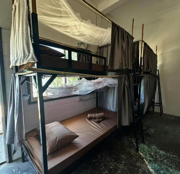 هاستل Seashell Guesthouse, Bar And Tattoos