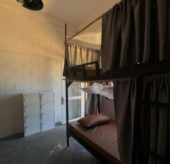 هاستل Seashell Guesthouse, Bar And Tattoos