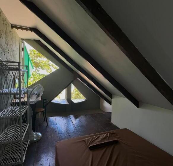 هاستل Seashell Guesthouse, Bar And Tattoos